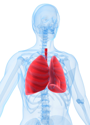 cf lungs
